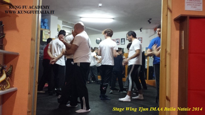 Kung Fu Academy Caserta di Sifu Mezzone Italia IMAA scuola wing tjun chun tsun www.kungfuitalia.it difesa personale arti marziali mma pilates tai chi lotta cinese chi kung (21)